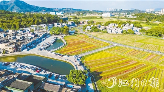 春賞格桑花、夏觀荷塘月、秋品稻花香、冬聞桂花釀的“全季旅游”模式，讓桂水村的知名度不斷攀升。