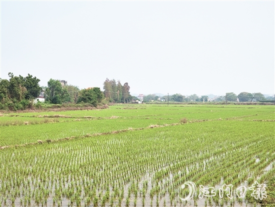 2024年，塘口新增耕地超49公頃，為鄉(xiāng)村振興注入了新動能。