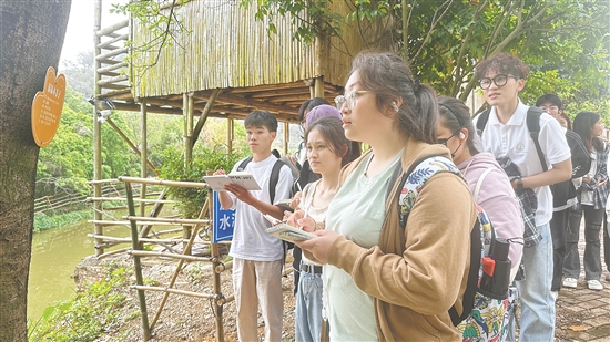 學(xué)生們?cè)诨赜^察各類植物。
