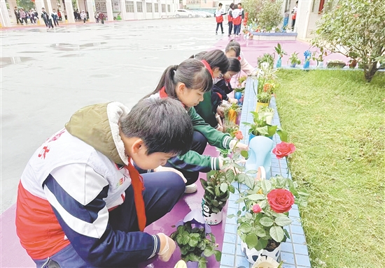 學(xué)生們親手培植的綠植生機(jī)盎然。