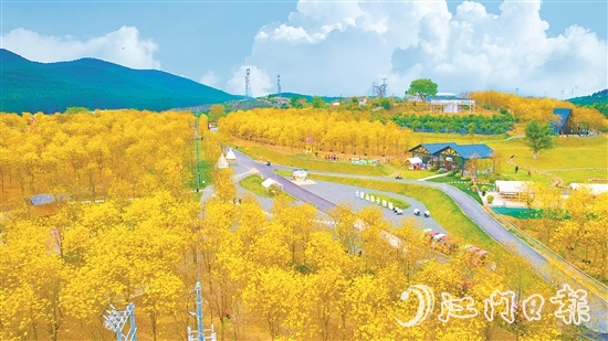 江門市七顆星農(nóng)業(yè)生態(tài)園于今年1月正式對外營業(yè)，吸引了不少市民游客前來游玩。