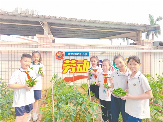 學(xué)生們?cè)凇靶腋＾r(nóng)場”全程參與從播種到收獲的勞動(dòng)過程。
