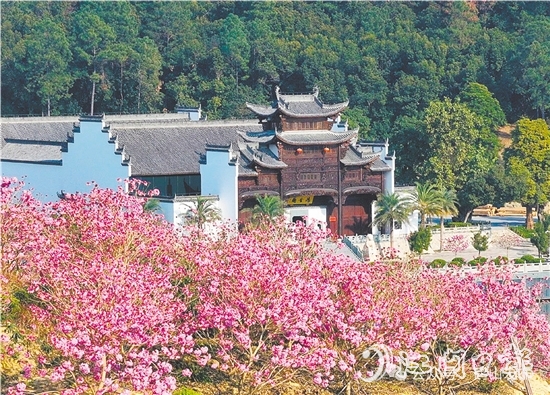 共和鎮(zhèn)來蘇村利用去年擂臺比武獲得的獎勵資金進行一系列鄉(xiāng)村建設(shè)。圖為來蘇山水人家文旅項目。