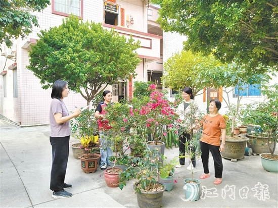 江海區(qū)鄉(xiāng)村綠化工作深入人心。圖為禮樂街道駐新華村干部、村“兩委”干部入戶開展鄉(xiāng)村綠化評(píng)分。