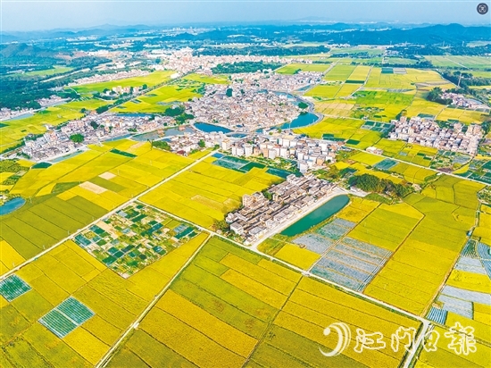 恩平土壤肥沃，富含“硒”元素，該市正努力推動(dòng)讓“硒”資源轉(zhuǎn)化為富民強(qiáng)市的“硒”經(jīng)濟(jì)。圖為恩平市牛江鎮(zhèn)。