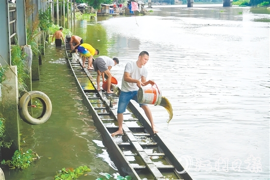掏泥沙、舀泥漿，長(zhǎng)沙街道愛民村委會(huì)杜澄村村民分工合作，“請(qǐng)”出河中的“金龍”。