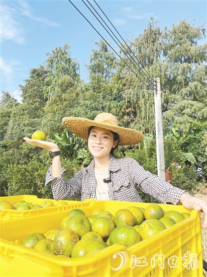 劉雪菲不斷探索新會柑種植、新會陳皮陳化倉儲的更多可能。