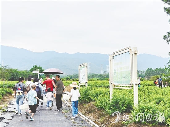 恩平市簕菜文化創(chuàng)意園打造集文旅、飲食、研學(xué)、農(nóng)耕等于一體的旅游綜合體。