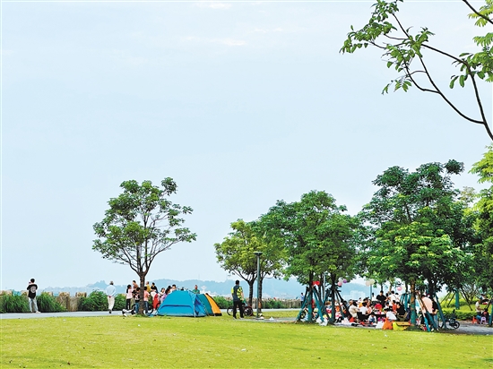 每到周末及節(jié)假日，江門各大公園及露營地成為親子野餐露營的首選之地。