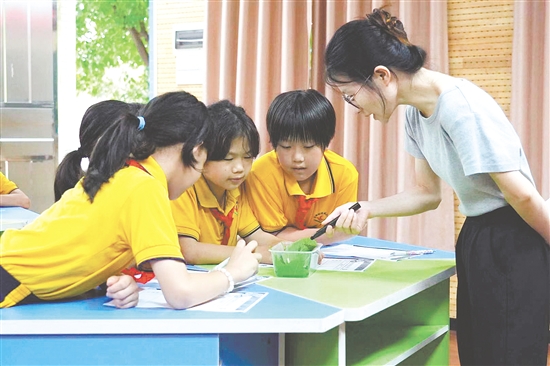 在古勞鎮(zhèn)連南小學(xué)的科學(xué)課上，學(xué)生們化身為“小小科學(xué)家”，認(rèn)真觀察并仔細(xì)記錄蠶的生長(zhǎng)變化。