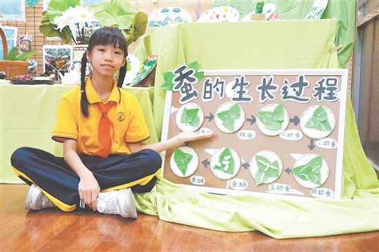 美術(shù)課上，學(xué)生在教師的指導(dǎo)下創(chuàng)作《蠶的一生》主題繪本。