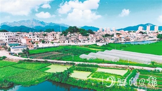 汶村鎮(zhèn)沙奇村通過深耕特色農(nóng)業(yè)、強(qiáng)化黨建引領(lǐng)、創(chuàng)新基層治理，實(shí)現(xiàn)從“臟亂差”到“綠富美”的華麗蝶變。