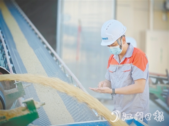 臺國糧集團以“珍香”品牌優(yōu)質大米為核心依托，構建起涵蓋收購、烘干、儲備、輪換，以及精深加工、品質檢測、市場銷售的全鏈條產業(yè)化經營體系。