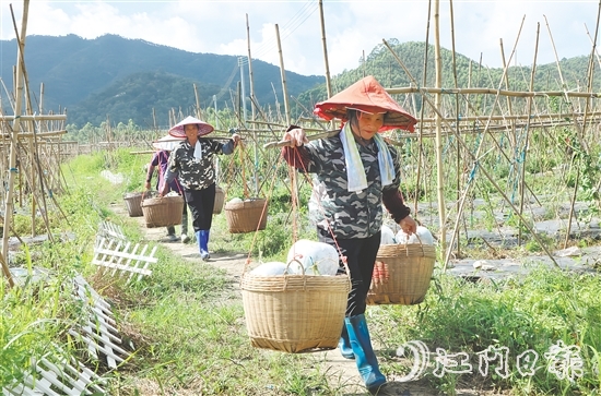 “潭碧冬瓜”地理標(biāo)志專用標(biāo)志的核準(zhǔn)使用既是對(duì)潭碧冬瓜產(chǎn)品質(zhì)量的高度認(rèn)可，又有助于保護(hù)和傳承地方特色產(chǎn)品。