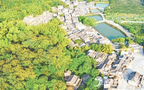 大江鎮(zhèn)石橋村華僑資源豐富，村內(nèi)有成片僑房形成的僑韻景觀。
