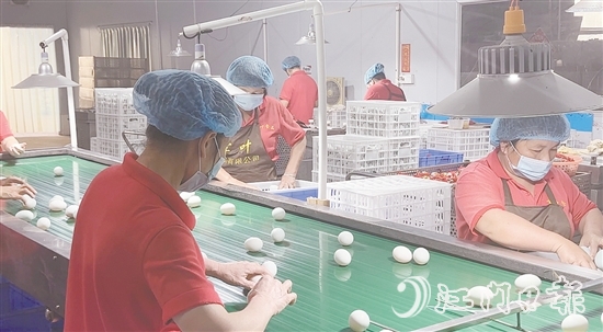 赤水鎮(zhèn)現(xiàn)已形成集種鴨繁育、生態(tài)養(yǎng)殖、飼料供應、肉禽屠宰、蛋品加工、冷鏈物流于一體的完整產(chǎn)業(yè)鏈，產(chǎn)業(yè)總產(chǎn)值超5億元。