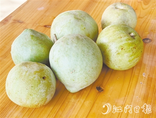 冰淇淋果果實成熟時可呈黃色或綠色，果肉為乳白色或米黃色，質地綿軟順滑，果香濃郁。