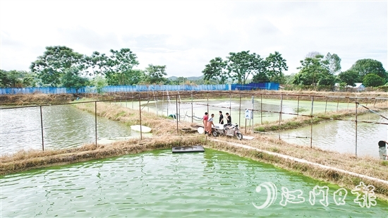 養(yǎng)殖基地毗鄰鶴城鎮(zhèn)三堡河，水源充沛，水質優(yōu)良。