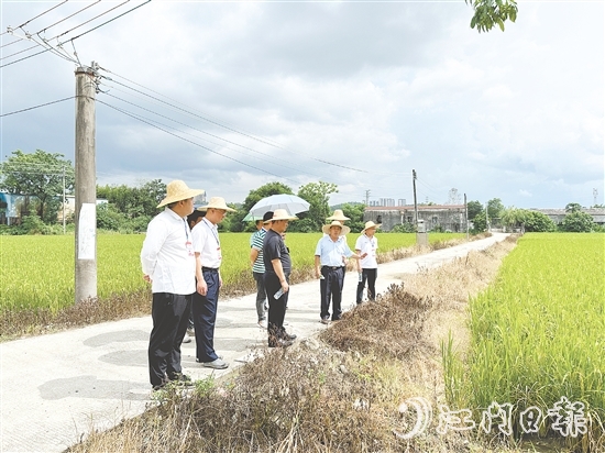 人大代表們到石青村視察典型村建設(shè)情況。