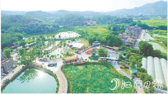 臺(tái)城街道依托“百千萬工程”，立足生態(tài)休閑旅游定位，推動(dòng)桂水村農(nóng)文旅商融合發(fā)展，培育壯大“賞花經(jīng)濟(jì)”和農(nóng)村集體經(jīng)濟(jì)。