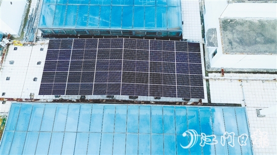 臺山市檔案館建筑屋頂上，一片深藍(lán)色的“光能矩陣”正悄然形成。