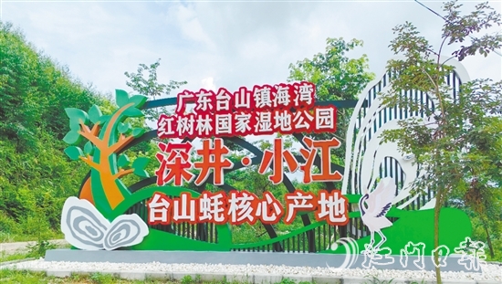 深井鎮(zhèn)小江村是國(guó)家地理標(biāo)志農(nóng)產(chǎn)品“臺(tái)山蠔”核心產(chǎn)區(qū)、蠔苗養(yǎng)殖主產(chǎn)區(qū)，也是廣東臺(tái)山鎮(zhèn)海灣紅樹(shù)林國(guó)家濕地公園東北入口。