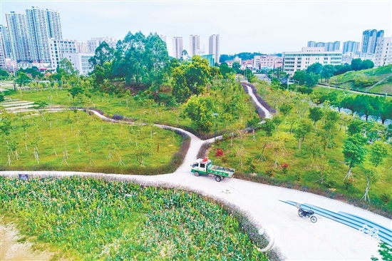 鶴山市聚焦城市交通重要點(diǎn)位，科學(xué)規(guī)劃，打造鶴山文化中心綠美鶴山示范點(diǎn)等，帶動(dòng)城鄉(xiāng)一體綠美提升。