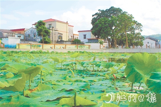 從產(chǎn)業(yè)協(xié)同到生態(tài)蝶變，從設(shè)施完善到文化繁榮，川島鎮(zhèn)甫草村甫草村以資源稟賦為基，展現(xiàn)新變化。