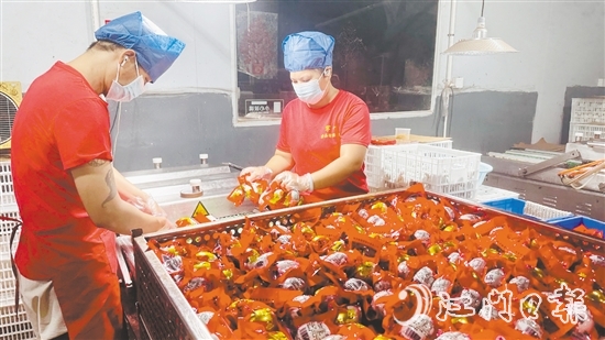 赤水鎮(zhèn)依托麻鴨養(yǎng)殖傳統(tǒng)優(yōu)勢，錨定“精深加工”做文章。