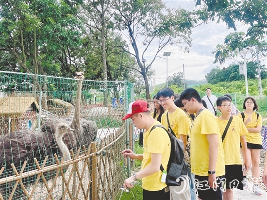 鳳鄉(xiāng)玉懷民宿打造的體驗(yàn)項(xiàng)目，吸引不少青少年前來參觀。