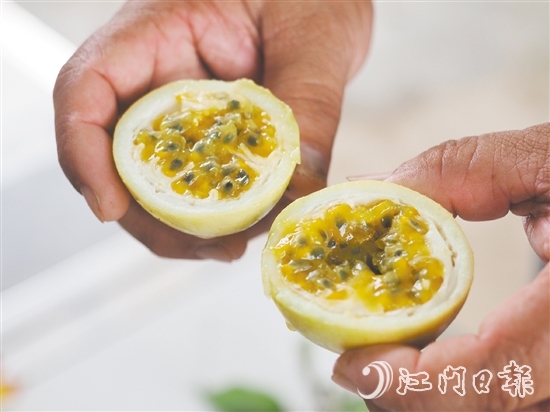 切開黃金百香果，酸甜的香氣撲面而來，十分誘人。