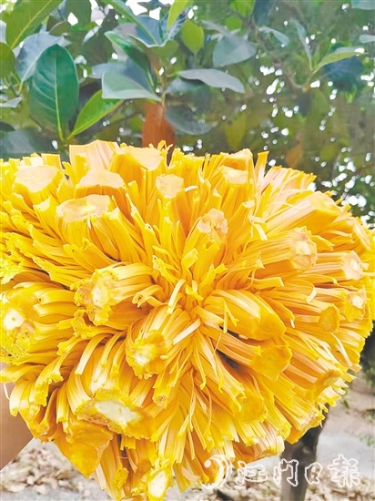 紅肉菠蘿蜜果實清香、口感脆甜且營養(yǎng)價值高。