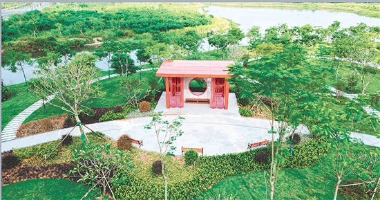 市政協(xié)攜手社會各界以實際行動推進綠美江門生態(tài)建設。圖為“同心林”。