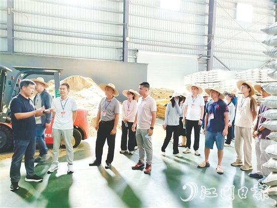 人大代表視察粵翔公司魚粉加工現(xiàn)場。