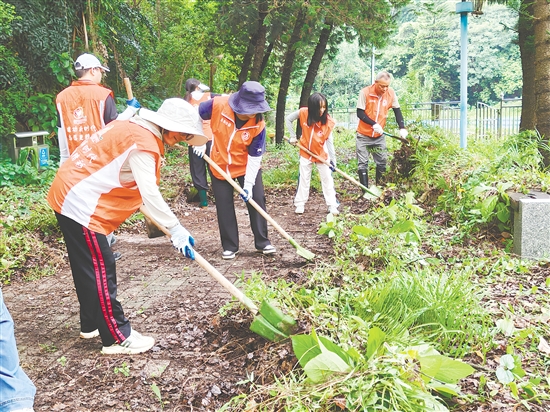 東湖公園管理所工作人員對園內(nèi)蚊蠅孳生地進(jìn)行清理。