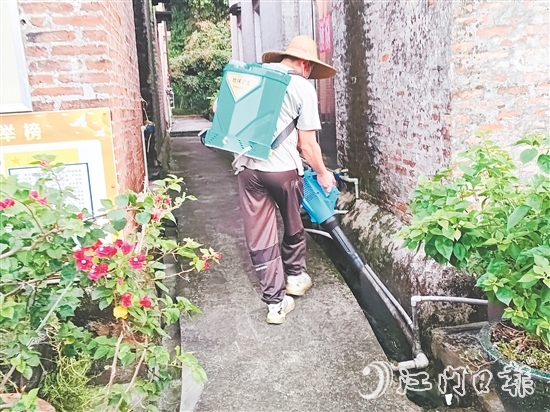 三江鎮(zhèn)應急消殺隊對蚊蟲易孳生場所進行全面消殺。