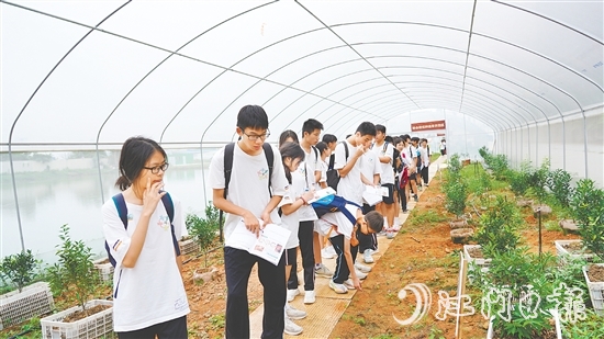 新會(huì)泓達(dá)堂陳皮莊園