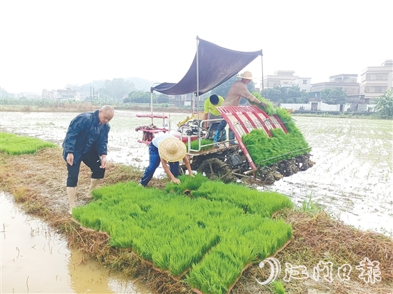 智富強(qiáng)村公司啟動(dòng)晚稻種植項(xiàng)目，通過(guò)對(duì)接第三方專業(yè)機(jī)構(gòu)，為項(xiàng)目提供技術(shù)支持，實(shí)現(xiàn)耕種環(huán)節(jié)機(jī)械化。