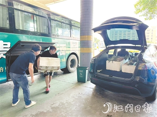 公交車司機(jī)及時(shí)將農(nóng)產(chǎn)品運(yùn)送至鶴山汽車總站，交由鶴山市供銷社工作人員分撥至合作商超與社區(qū)自提點(diǎn)等。
