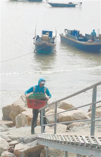 等到漁船靠岸，你可以在漁民處買到各種新鮮海鮮。
