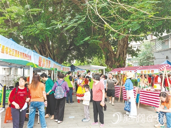社區(qū)社會企業(yè)將利潤按比例反哺社區(qū)公益,形成“服務(wù)—收益—反哺”的良性循環(huán)。圖為蓬江區(qū)善鄰社區(qū)服務(wù)有限公司在象山社區(qū)開展銀發(fā)經(jīng)濟集市活動。