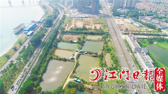 濱江大道旁地塊實(shí)景圖。
