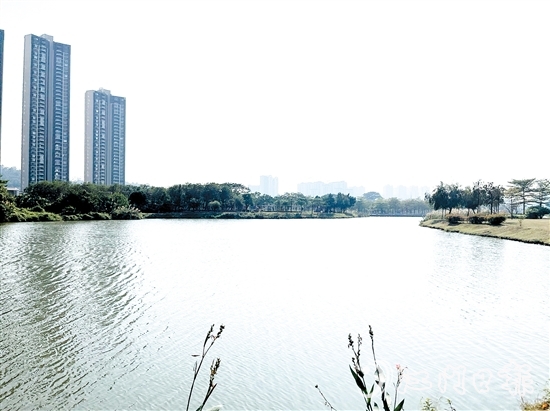 近年來，江門居住環(huán)境越來越好。