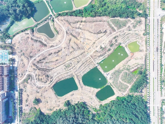 本次競拍的蓬江24、25、26號地為相連地塊。