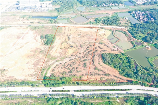 臺(tái)山市本次計(jì)劃收儲(chǔ)地塊涉及范圍廣。