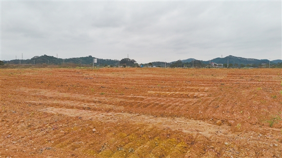 該地塊位于新會區(qū)江睦新能源雙碳產(chǎn)業(yè)園新中公路北側(cè)、勝利南路南延線西側(cè)。