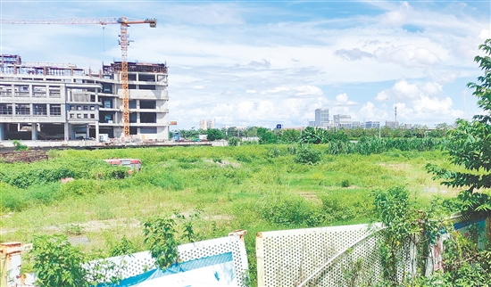 江門市JCR2025-100（新會18）號地。