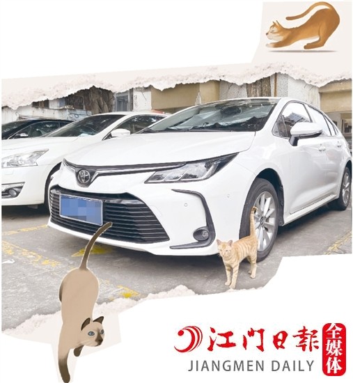 車(chē)主停車(chē)時(shí)，盡量減少停在流浪貓出沒(méi)的地方。