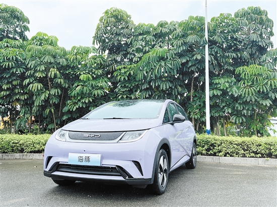 2023款海豚外觀及內(nèi)飾。